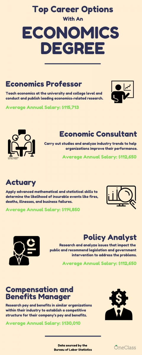 phd in economics career options